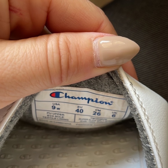 Champion slides - Picture 2 of 2